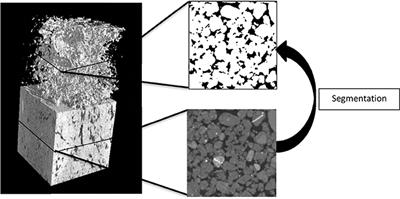 Control of Pore Geometry in Soil Microcosms and Its Effect on the Growth and Spread of Pseudomonas and Bacillus sp.